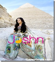 Celina_Jaitley_Designer_Saree (7)