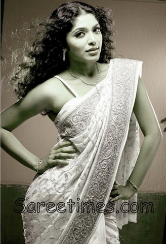 [Rima_Kallingal_Embroidery_Saree[3].jpg]