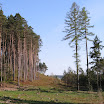 Svratouch 2011