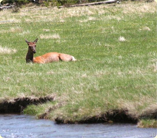 IMG_8743 IMG_8743