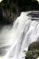 IMG_1549 IMG_1549