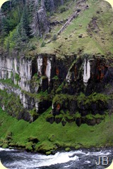 IMG_1540 IMG_1540