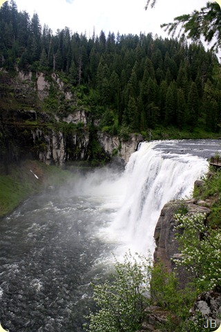 IMG_1552 IMG_1552