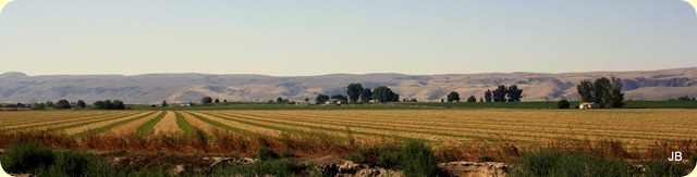 IMG_3852 IMG_3852