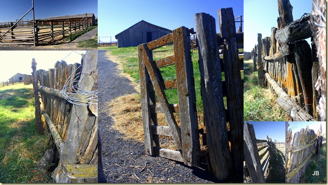 51 Malheur NWR, Oregon5