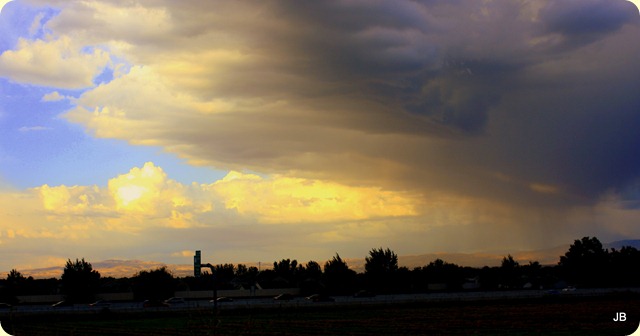 IMG_6144 IMG_6144