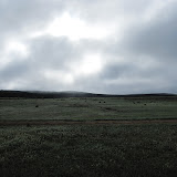Morgentåge