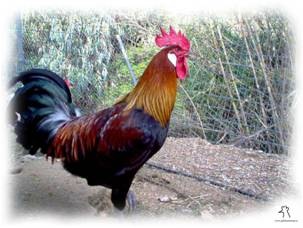 [UTRERANA[3].jpg]