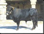 CALDELÁ