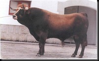 FRIEIRESA
