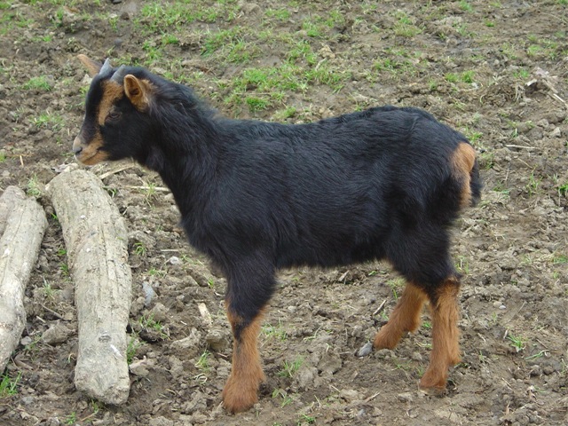 [AzpiGORRI2.jpg]