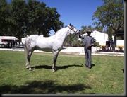 hispano arabe 3