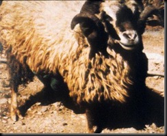 Foto2Canaria
