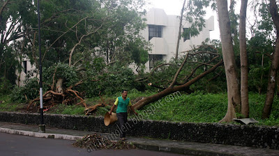 stayinjogja | ugm whirl wind