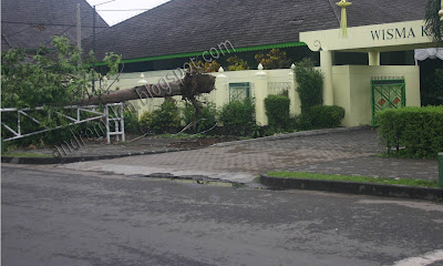 stayinjogja | ugm whirl wind