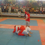 DSC00510.JPG