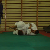 DSC01230.jpg