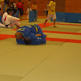 copadumaufernandoboi045.jpg