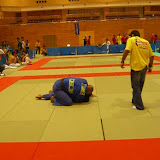 copadumaufernandoboi059.jpg