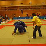 copadumaufernandoboi060.jpg