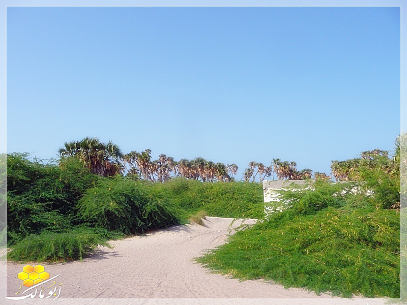 سندريلا اليمن بعدسة أبو مالك ط§ظ„ط®%D