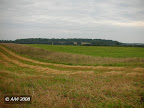 Pievų takelis