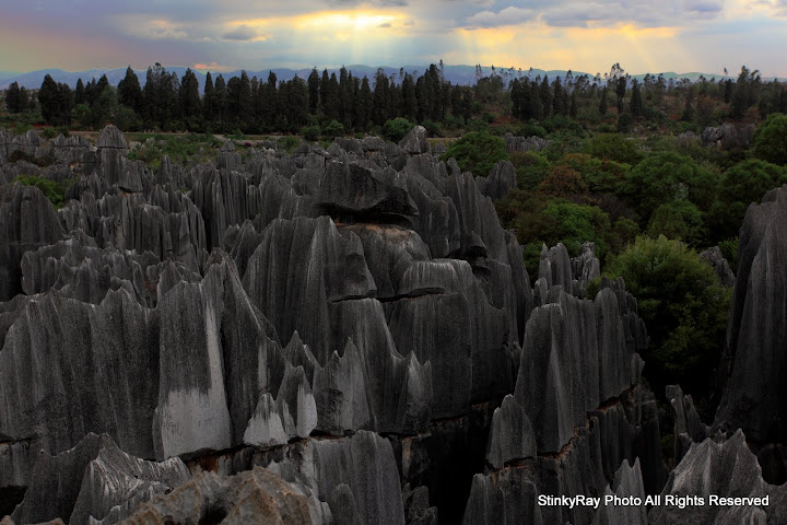 "Stone Forest At Dawn"