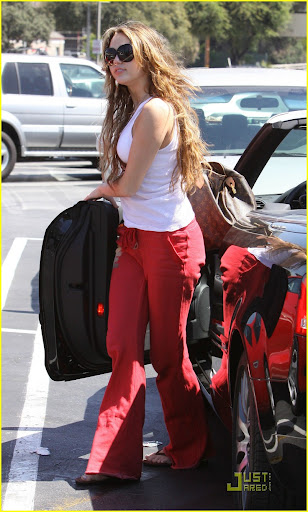 miley-cyrus-nail-garden-01.jpg