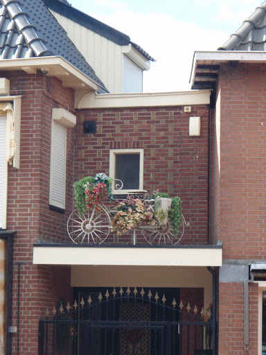 Свежей селёдочки не хотите?:) А также развиртуализация и Volendam. 