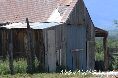 Old Barn2