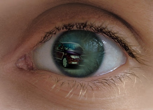 vedo%20skoda.jpg