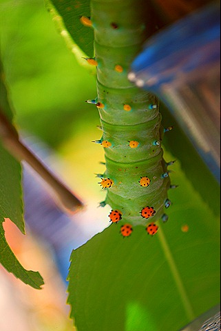 [DSC_5152[11].jpg]