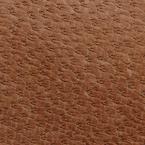 Leather Identification | Lili's Bookbinding Blog