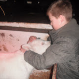 DSCF1234.JPG