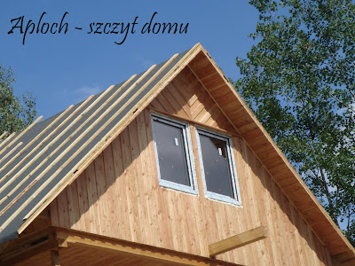 Domek Biedronka Domek Biedronka