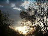 amandasue-31.jpg