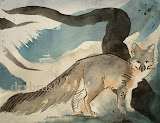 Gray Fox Limited Edition Print