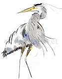 Great Blue Heron