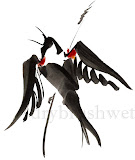 redwing5-print.jpg