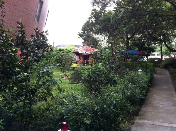 IMG_6446.JPG IMG 6446