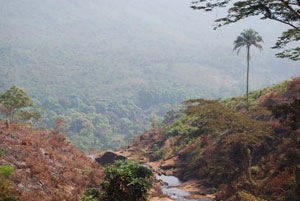 [Deforestation-at-Charlotte-Falls-26-JAN-10-3[4].jpg]