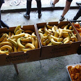 DSC01518.jpg