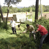 DSC03327 [800x600].jpg