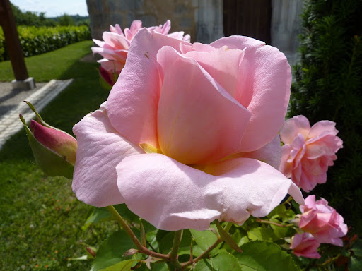 http://lh6.ggpht.com/__CQwcy0s0FI/Skn7wWt7ZwI/AAAAAAAAAVM/_u2lnXL974c/s512/P1000327.JPG