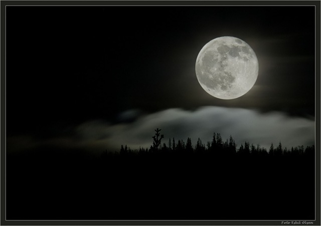 [February moon[6].jpg]