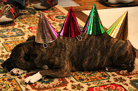 Jesse the party dog
