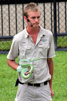 Green tree snake