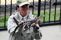 Little bub croc!