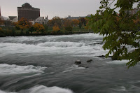 IMG_6950.JPG