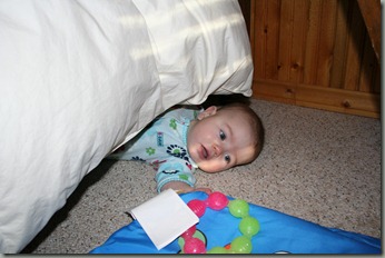 IMG_6013 IMG_6013